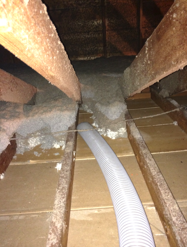 What Type of Asbestos Survey Does Your Building Need ...